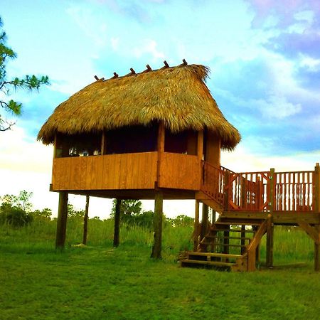 Everglades Chickee Cottage & Bungalow - Ochopee Exterior foto